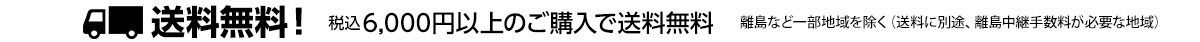 6000円以上のご購入で送料無料!