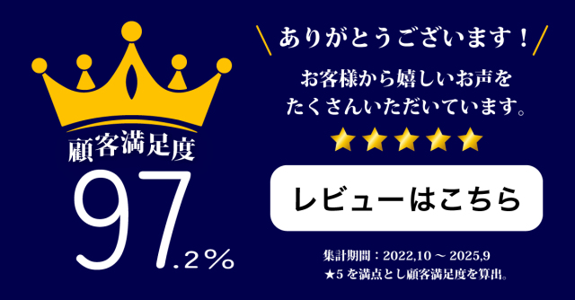 レビュー